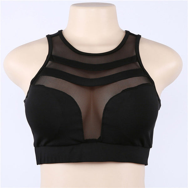 Women Sport Waist Yoga Bra Pants