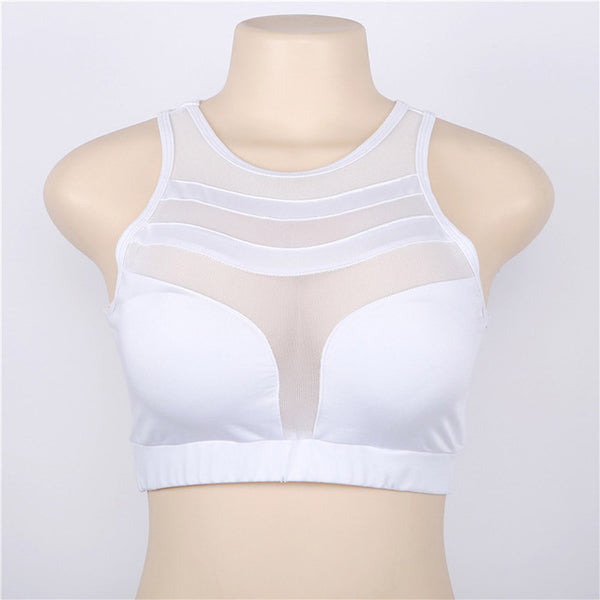 Women Sport Waist Yoga Bra Pants